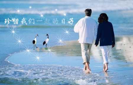 最近朋友送来美丽的100个回帖 - 圣子保罗 - 仁爱喜乐和平忍耐恩慈良善信实温柔节制果苑
